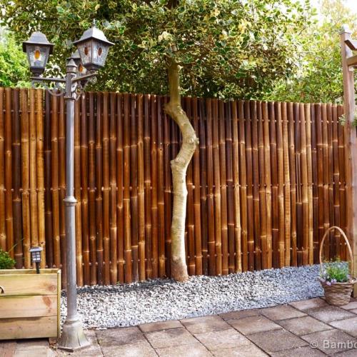 Бамбуковый забор