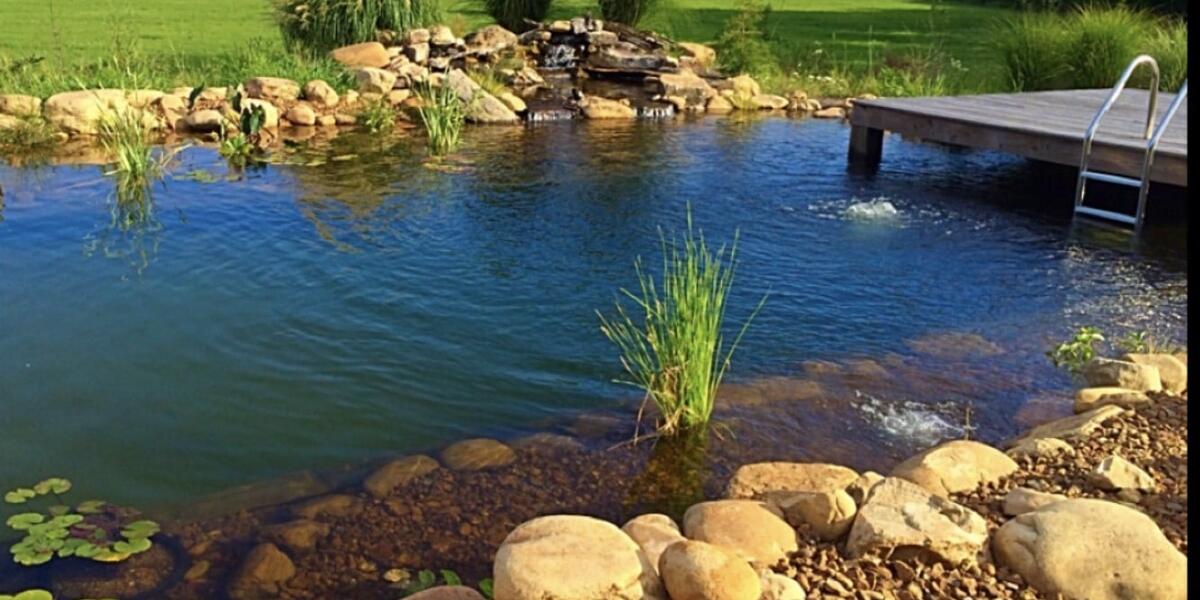 Пруд на даче своими руками